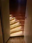 Navă de croazieră de vânzare