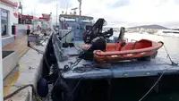Catamaran de vânzare
