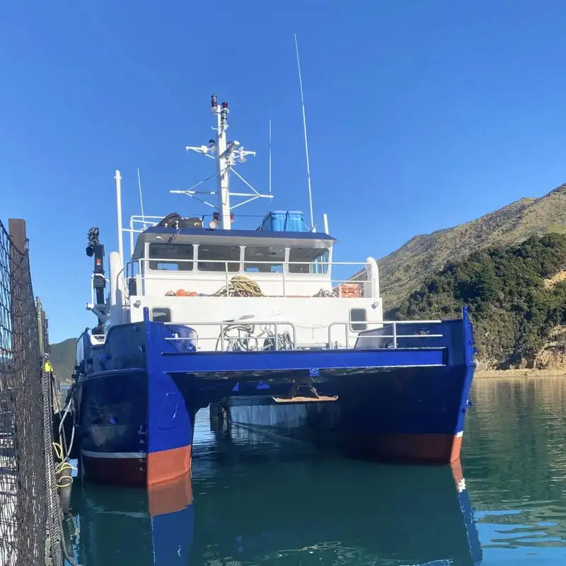 Catamaran de vânzare