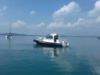 Barcă cu echipaj de vânzare