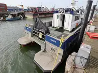 Catamaran de vânzare