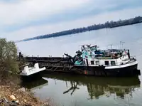 Dragă de vânzare