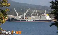Vrachier de vânzare