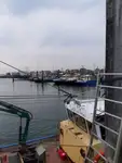 Nava de pescuit tip trauler de vânzare