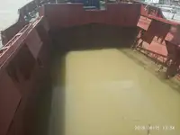 Dragă de vânzare