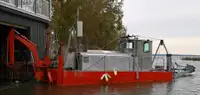 Dragă de vânzare