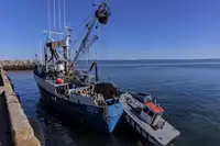 Nava de pescuit cu plase purseine de vânzare