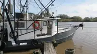 Nava de pescuit tip trauler de vânzare