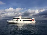 Navă de croazieră de vânzare