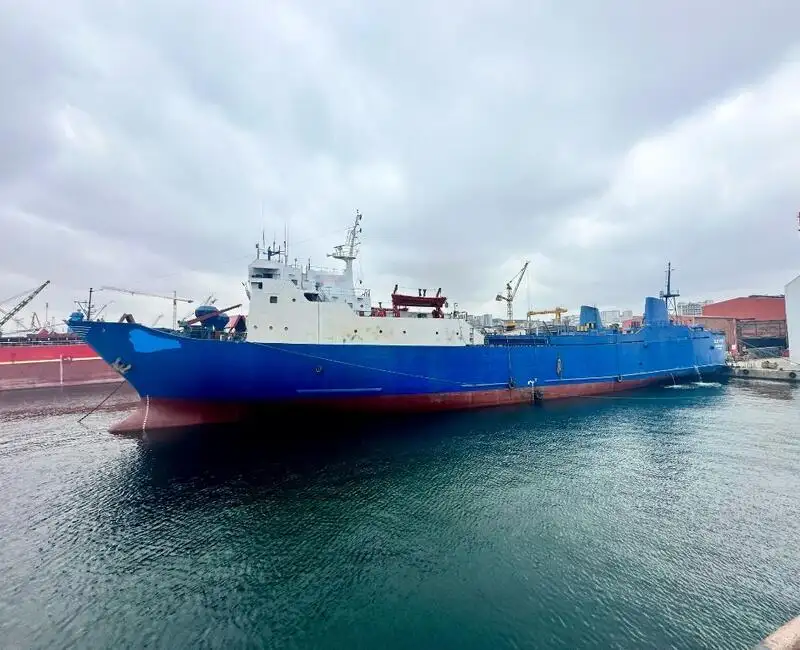 Nava de transport marfă vrac de vânzare