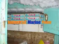 Nava de pescuit cu linii lungi de vânzare
