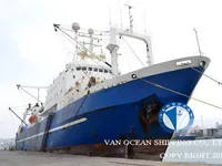 Nava de pescuit tip trauler de vânzare