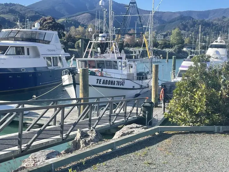 Nava de pescuit tip trauler de vânzare