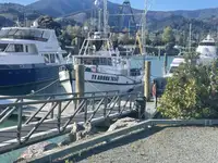 Nava de pescuit tip trauler de vânzare