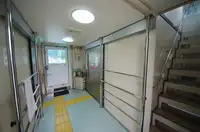Nava de transport marfă vrac de vânzare