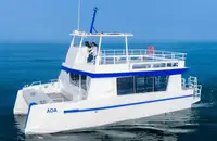 Catamaran de vânzare