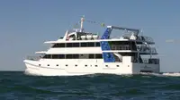 Catamaran de vânzare