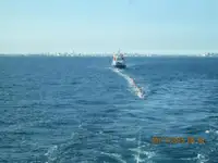 Nava de transport marfă vrac de vânzare