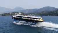 Navă Ro-Ro de vânzare