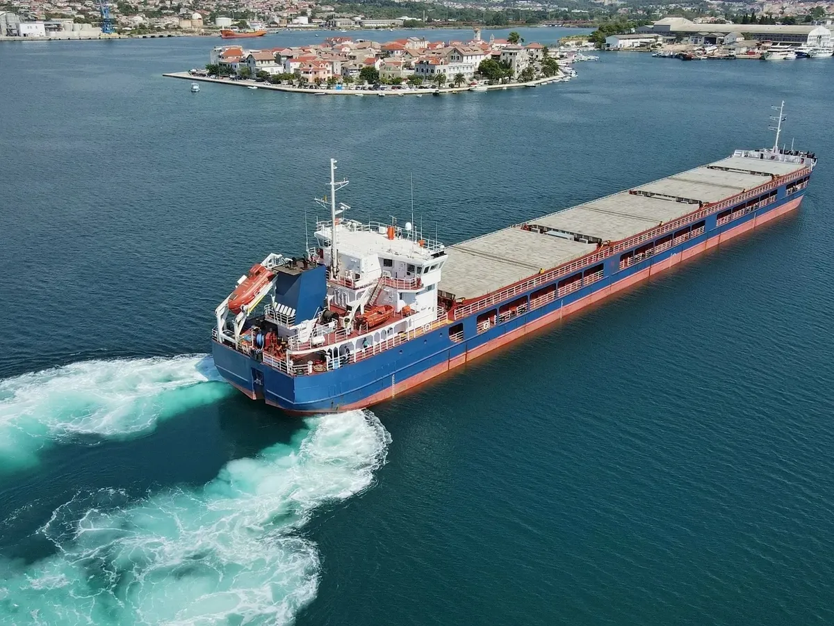 General Cargo/Multi-purpose de vânzare