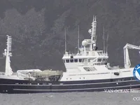 Nava de pescuit tip trauler de vânzare