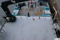 Catamaran de vânzare