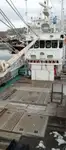 Nava de pescuit tip trauler de vânzare