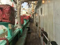 Nava de pescuit cu lansete pentru calmar de vânzare