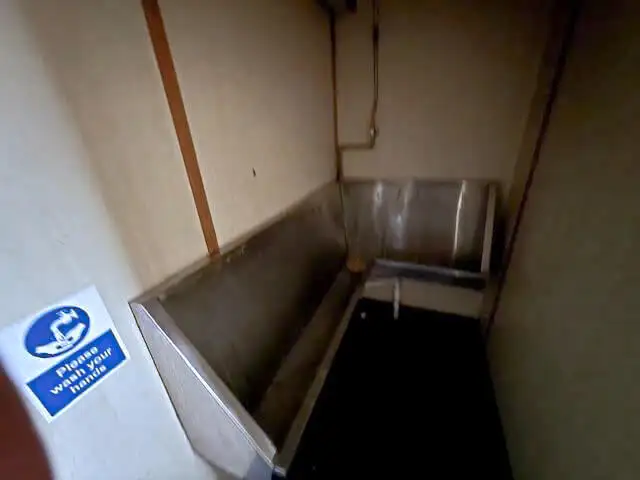 Navă de croazieră de vânzare