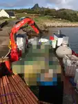 Ambarcațiuni de lucru de vânzare