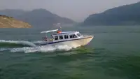 Navă de pasageri de vânzare