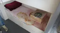 Nava de pescuit tip trauler de vânzare