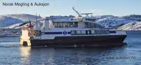 Navă Ro-Ro de vânzare