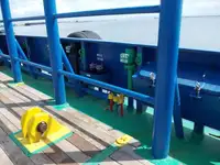 Nava de transport marfă vrac de vânzare