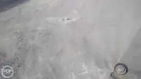 Nava container de vânzare