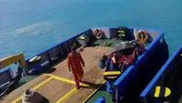 Ambarcațiuni de lucru de vânzare
