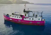 General Cargo/Multi-purpose de vânzare