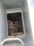 Navă de feribot de vânzare