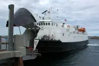 Nava de transport marfă vrac de vânzare