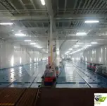 Ro-Ro ship de vânzare