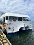 Catamaran de vânzare