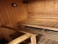Navă de croazieră de vânzare