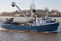 Purse seiner de vânzare
