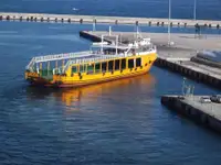Navă de croazieră și feribot de vânzare