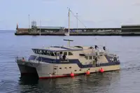 Navă de sondaj de vânzare