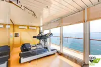 Navă de croazieră de vânzare