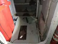 Navă de croazieră de vânzare