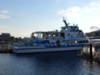 Nava de pasageri de vânzare