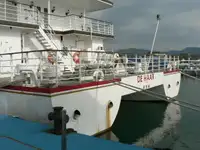 Catamaran de vânzare