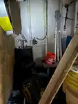 Dragă de vânzare
